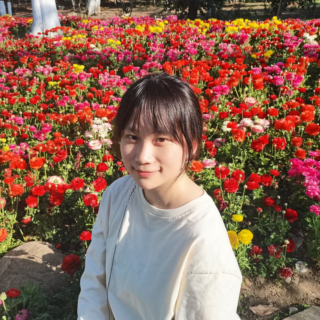 柴依璐